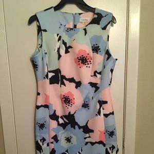 NWT Calvin Klein Floral Dress 12